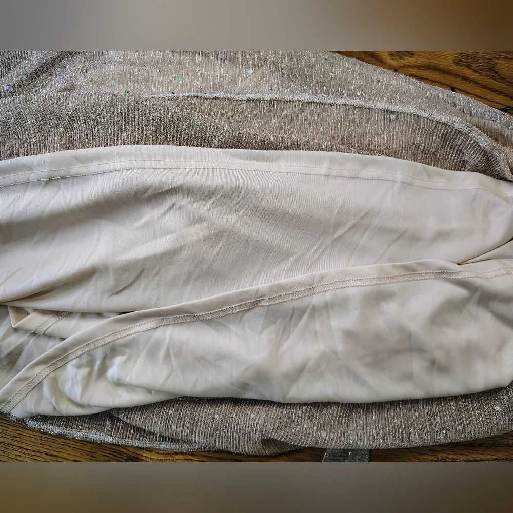 Baltic Born Shimmering Champagne Maxi Dress Size L - Picture 14 of 16